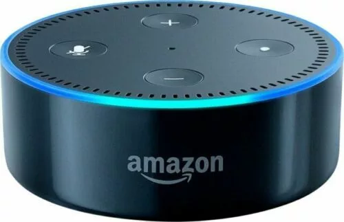 The first Echo was released in 2014 to select Amazon members, with the company rolling it out to general consumers the following year.